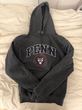 Dark Gray Penn Hoodie - University Logo